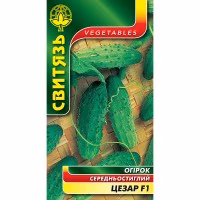 Огірок Цезар F1 (Свитязь) 1 г.