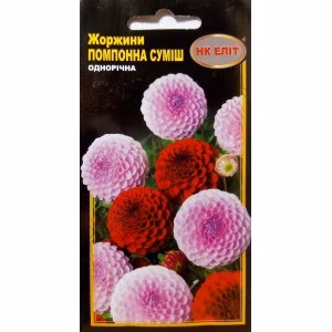 Жоржина Помпона махрова суміш (НК ЕЛІТ) 0,3 г.