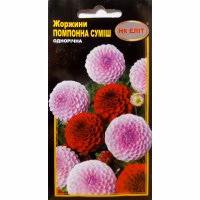 Жоржина Помпона махрова суміш (НК ЕЛІТ) 0,3 г. Жоржина Помпона махрова суміш (НК ЕЛІТ) 0,3 г.