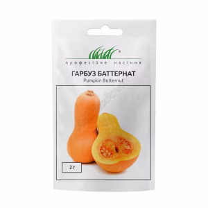 Гарбуз Баттернат (Проф Насіння) 10 нас.