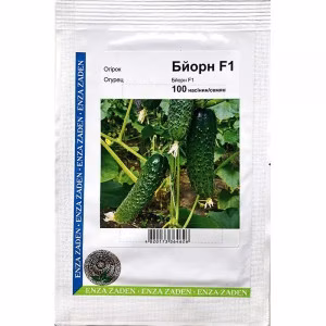 Огірок Бйорн F1 (Enza Zaden) 100 нас.