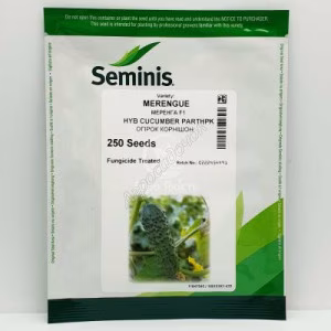 Огірок Меренга F1 (Seminis) 250 нас.