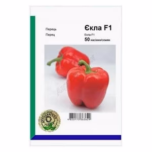 Перець солодкий  Екла F1 (Syngenta) 50 нас.