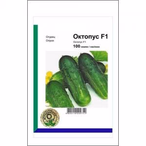 Огірок Октопус F1 (Syngenta) 100 нас.