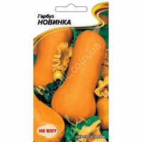 Гарбуз Новинка (НК ЕЛІТ) 10нас.