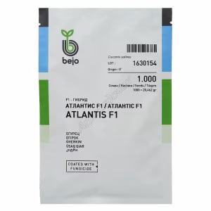 Огірок Атлантіс F1 (Bejo Zaden) 1000 нас.
