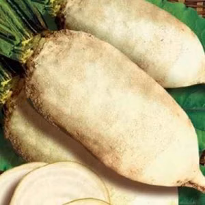 Буряк кормовий Центаур Полі (Польша МПХ) кг.