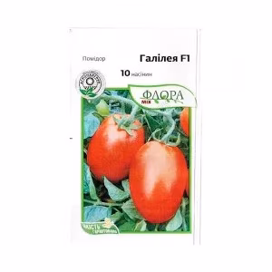 Томат Галілея F1 (Hazera) 10 нас.