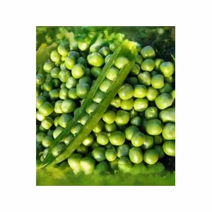 Горох Ідалго (Syngenta) 1 кг
