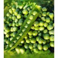 Горох Ідалго (Syngenta) 1 кг Горох Ідалго (Syngenta) 1 кг