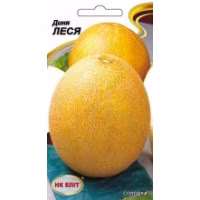 Диня Леся (НК ЕЛІТ) 1 г.
