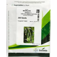 Огірок Мадрілен F1(Seminis) 250 нас