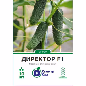 Огірок Директор F1 (СпектрСад) 10 нас.