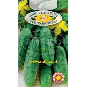 Огірок Вісконсін F1 інкр (Roltico) 5 г.