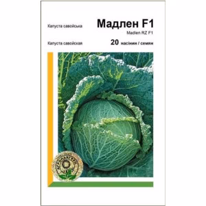 Капуста савойська Мадлен (Rijk Zwaan) 20 нас.