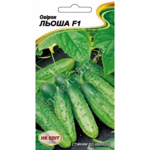 Огірок Льоша F1 (НК ЕЛІТ) 15 нас.