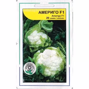 Капуста цвітна Амеріго F1 (Syngenta) 20 нас