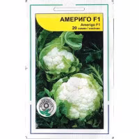 Капуста цвітна Амеріго F1 (Syngenta) 20 нас Капуста цвітна Амеріго F1 (Syngenta) 20 нас
