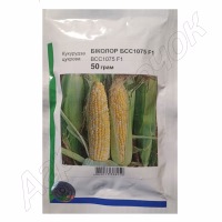 Кукурудза цукрова Біколор БСС 1075 F1 (Syngenta) 50 г.