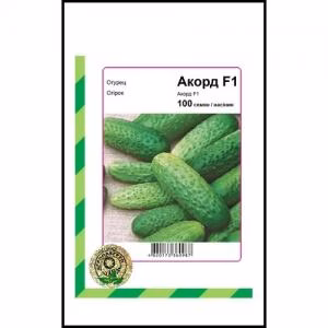Огірок Акорд F1 (Bejo Zaden) 100 нас.