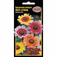Хризантема Меррі кілевата суміш (НК ЕЛІТ) 0,2 г.