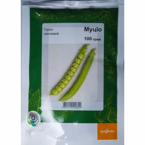 Горох Муціо (Syngenta) 100 г.