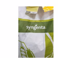 Горох Сомервуд (Syngenta) 100 000 нас. Горох Сомервуд (Syngenta) 100 000 нас.
