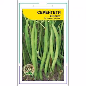 Квасоля спаржева Серенгеті  F1 (Syngenta) 20 нас.