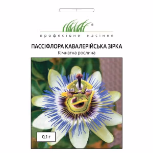 Пассіфлора Кавалерійська зірка (Проф Насіння) 0,1 г.