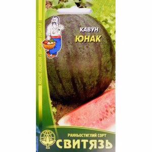 Кавун Юнак (Свитязь) 20 нас.