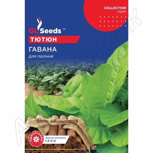 Тютюн Гавана GL Seeds 0,1 г.