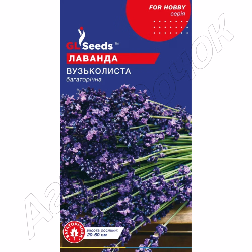 Лаванда Вузьколиста багаторічна GL Seeds 0,1 г.