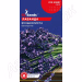 Лаванда Вузьколиста багаторічна GL Seeds 0,1 г.