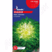 Салат Ендівій Сен Лоран GL Seeds 1 г.