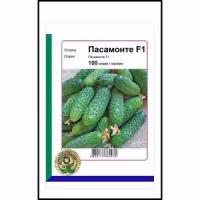 Огірок ПАСАМОНТЕ F1 (Syngenta) 100 нас.