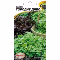Салат Городнє диво мікс (НК ЕЛІТ) 1 г.