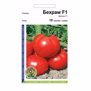 Томат Бехрам F1 (Enza Zaden) 10 нас.