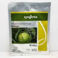 Капуста Епікур F1 (Syngenta) 2500 нас.