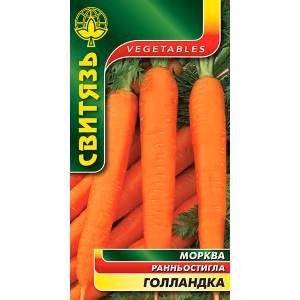 Морква Голландка (Свитязь) 2 г