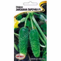 Огірок Закохана Парочка F1 (НК ЕЛІТ) 15 нас.