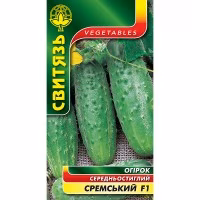 Огірок Сремський F1 (Свитязь) 1 г.