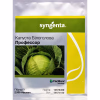 Капуста Професор F1 (Syngenta) 2500 нас.