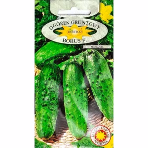 Огірок Борус F1 інкр (Roltico) 5 г.