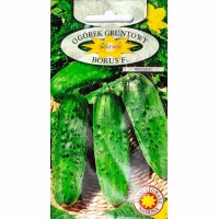 Огірок Борус F1 інкр (Roltico) 5 г.