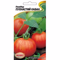 Томат Пухнастий Кабан (НК ЕЛІТ) 0.1 г. Томат Пухнастий Кабан (НК ЕЛІТ) 0.1 г.
