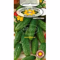 Огірок Соплица F1 інкр (Roltico) 5 г.