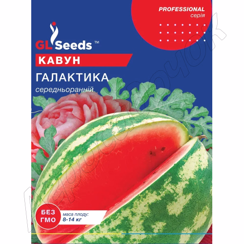 Кавун Галактика GL Seeds 5 г.
