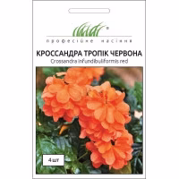 Кроссандра Тропік червона (Проф Насіння) 4 нас.