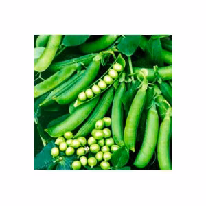 Горох Цукровий 0,5 кг