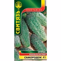Огірок Самородок F1 (Свитязь) 1 г.